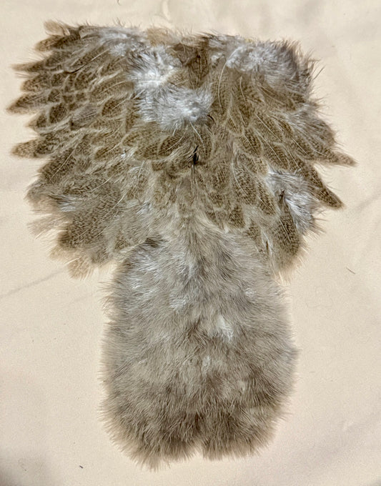 Whiting Farms Soft Hackle Brahma Hen Chickabou Pelt Natural Mottled Gray Wild Type 209-SH-E-L