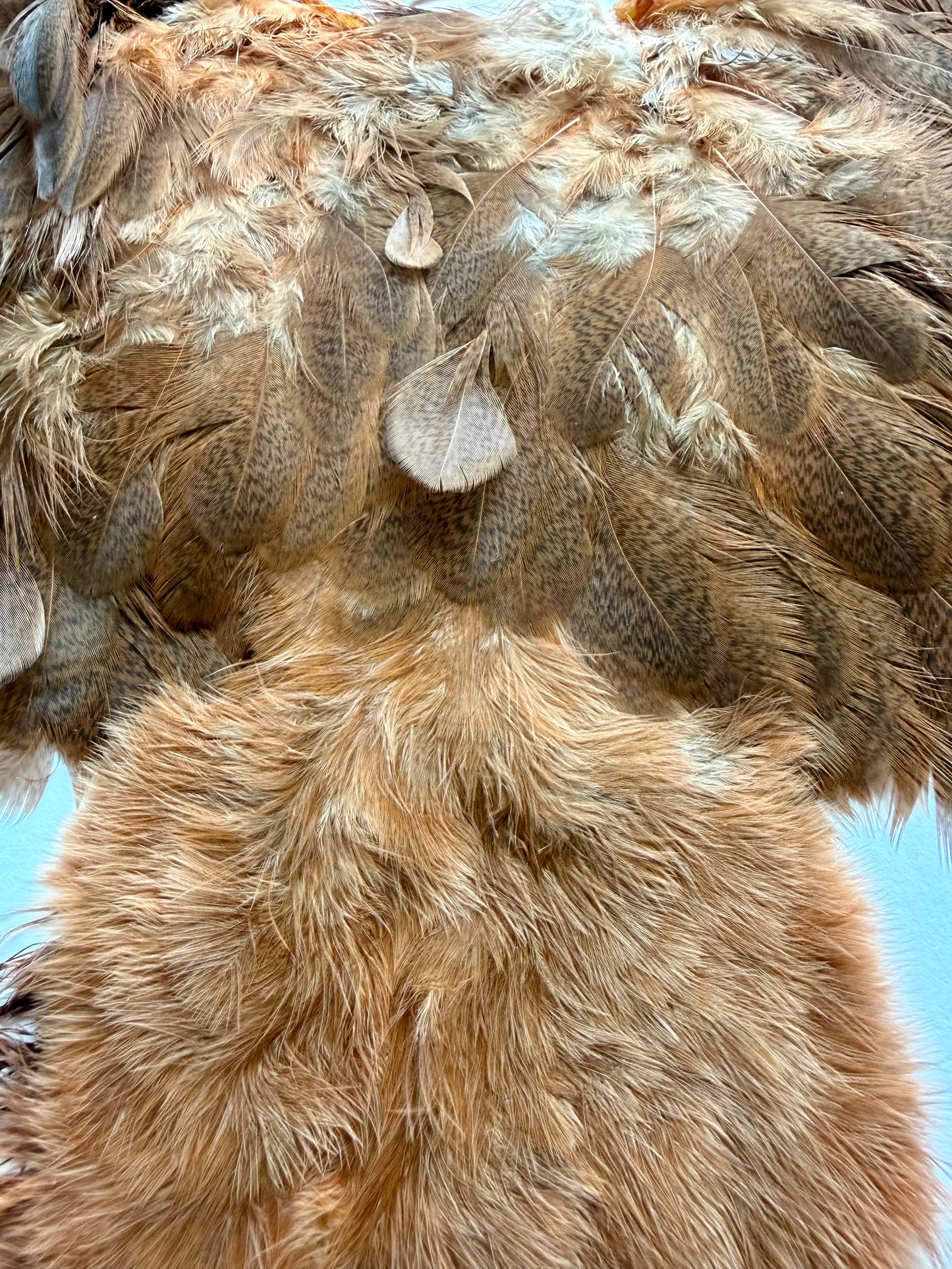 Whiting Brahma Hen Soft Hackle/Chickabou: Mottled Grey dyed Golden Brown 374-SH-E-L