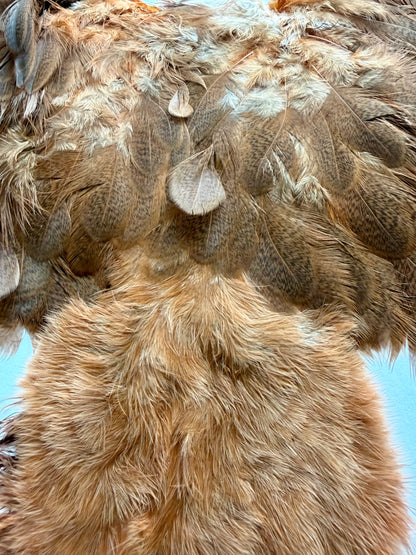 Whiting Brahma Hen Soft Hackle/Chickabou: Mottled Grey dyed Golden Brown 374-SH-E-L
