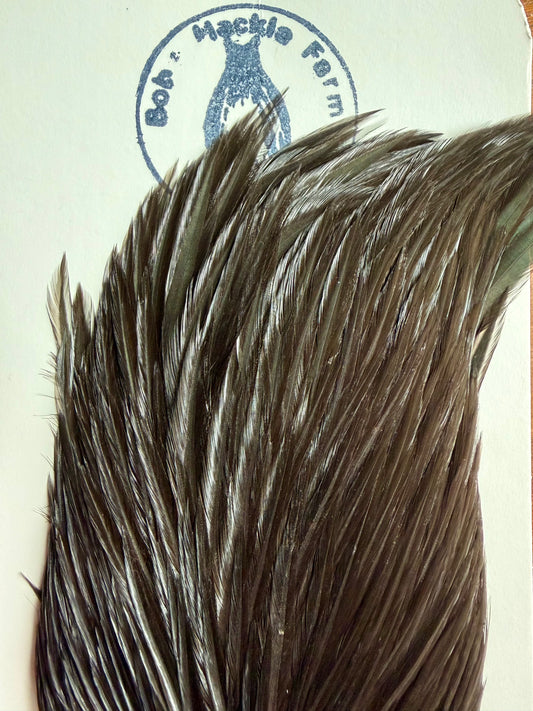 Bobs Hackle Farm #2 Rooster Cape Black 666-SH-E-L