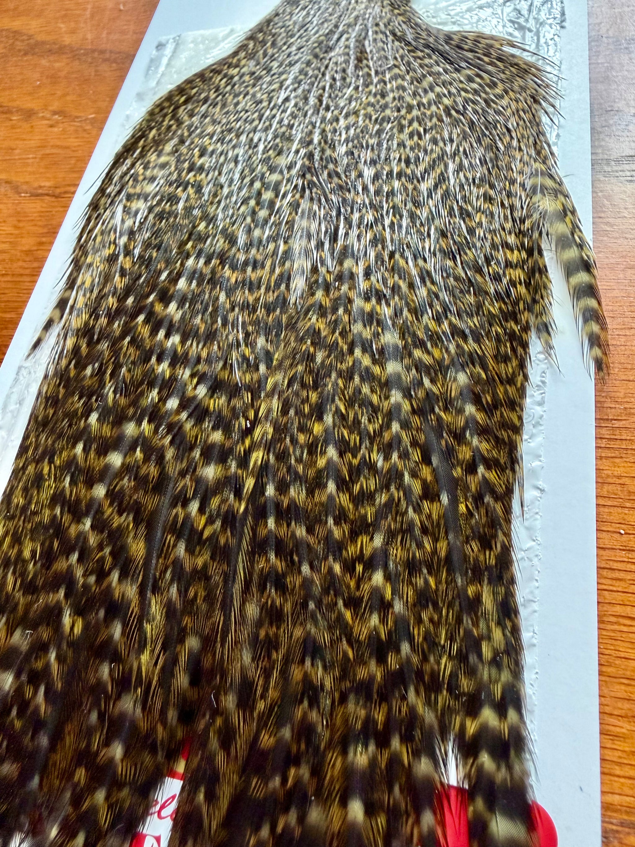 Whiting Farms Hen Cape Grizzly Dyed Dark Olive 308-SH-E-L