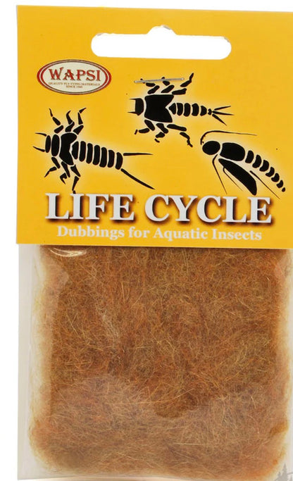 Wapsi Life Cycle