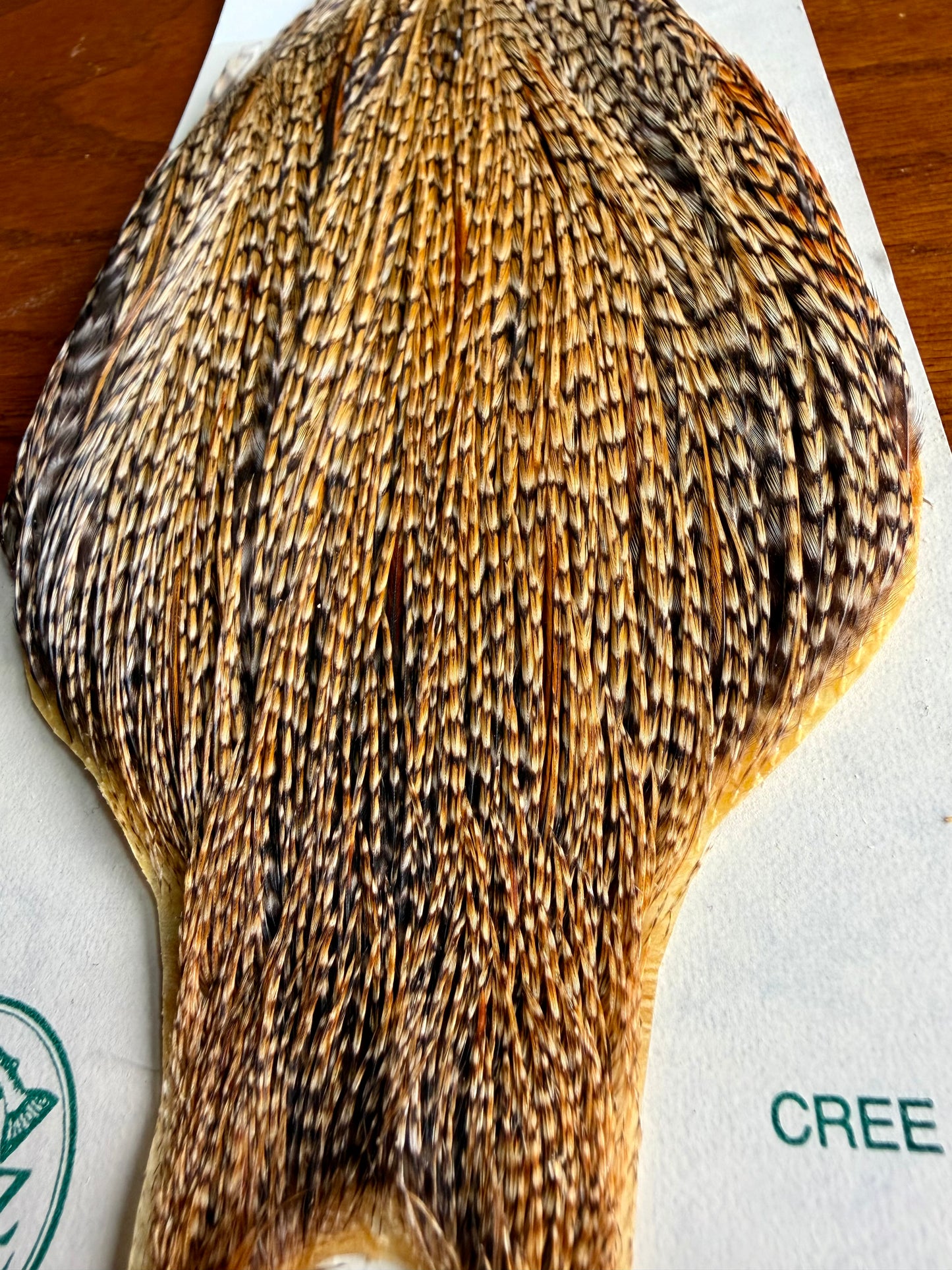 Metz Cape Cree 616-SH-E-L