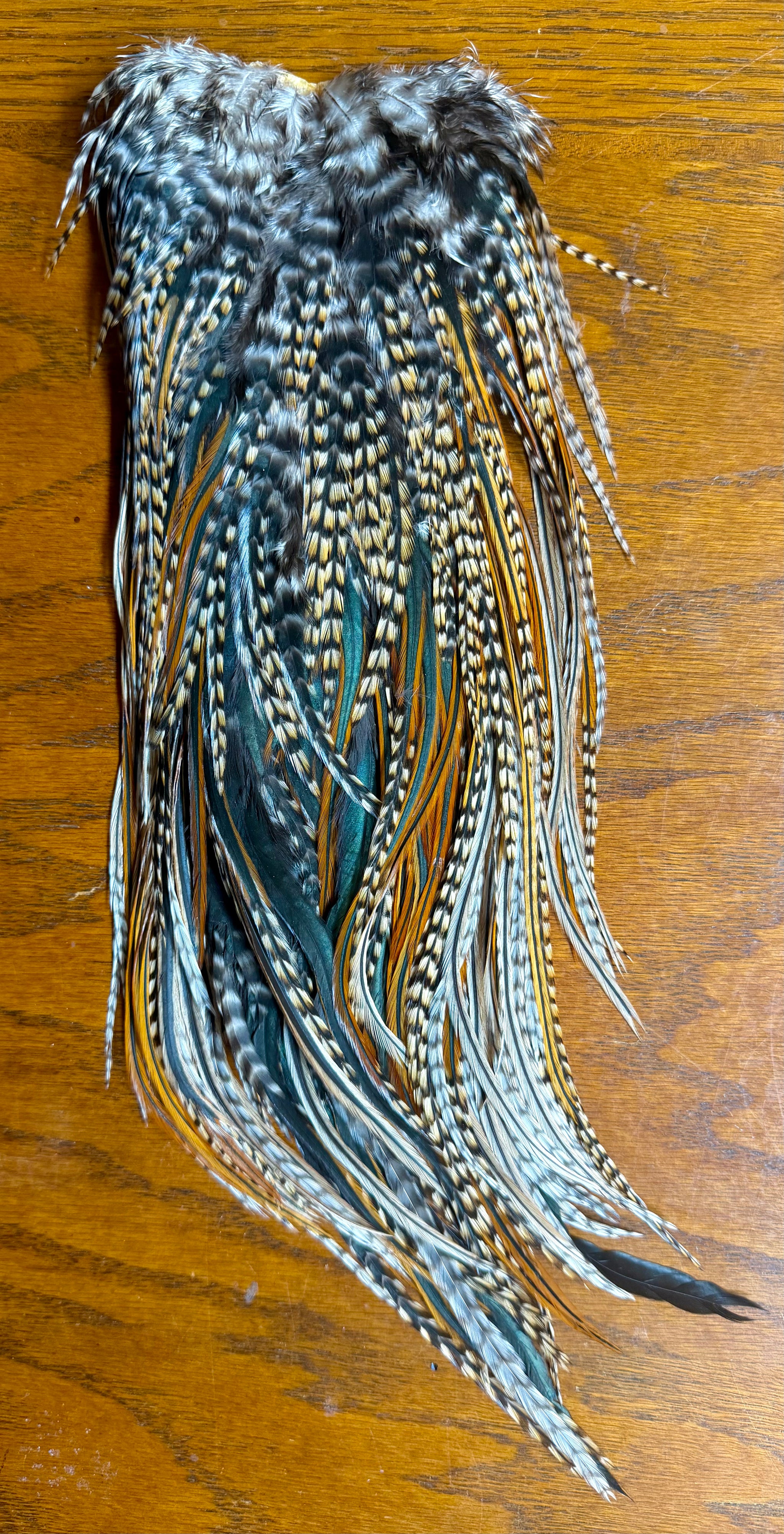 Chanticleer Grade #2 Cree Saddle 700-SH-E-L