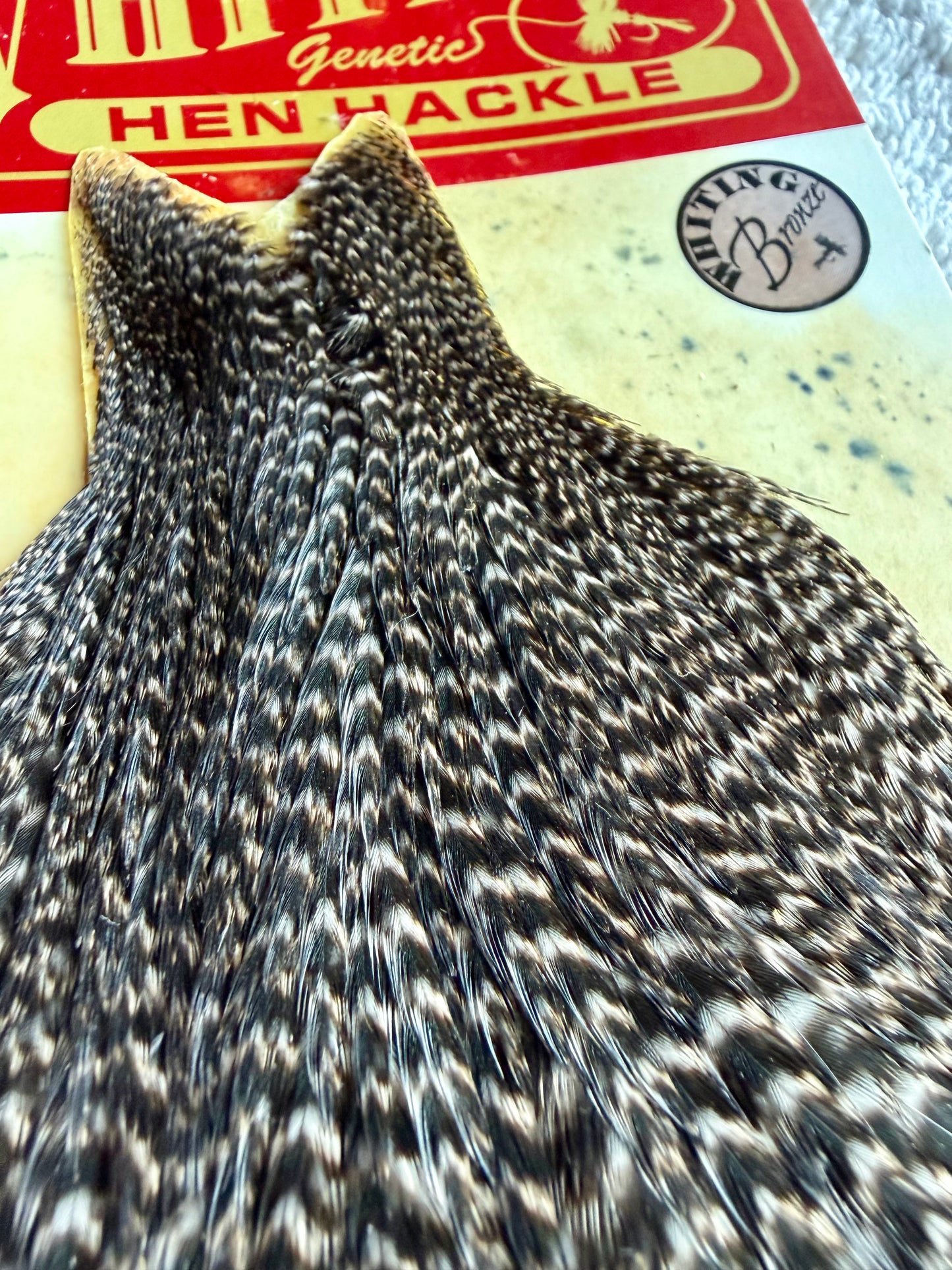 Whiting Farm Bronze Hen Cape Grizzly 736-SH-E-L