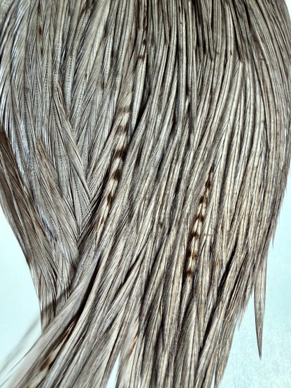 Whiting Farms Silver Grade Select Portion Cape Dark Dyed Dun 778-SH-E-L