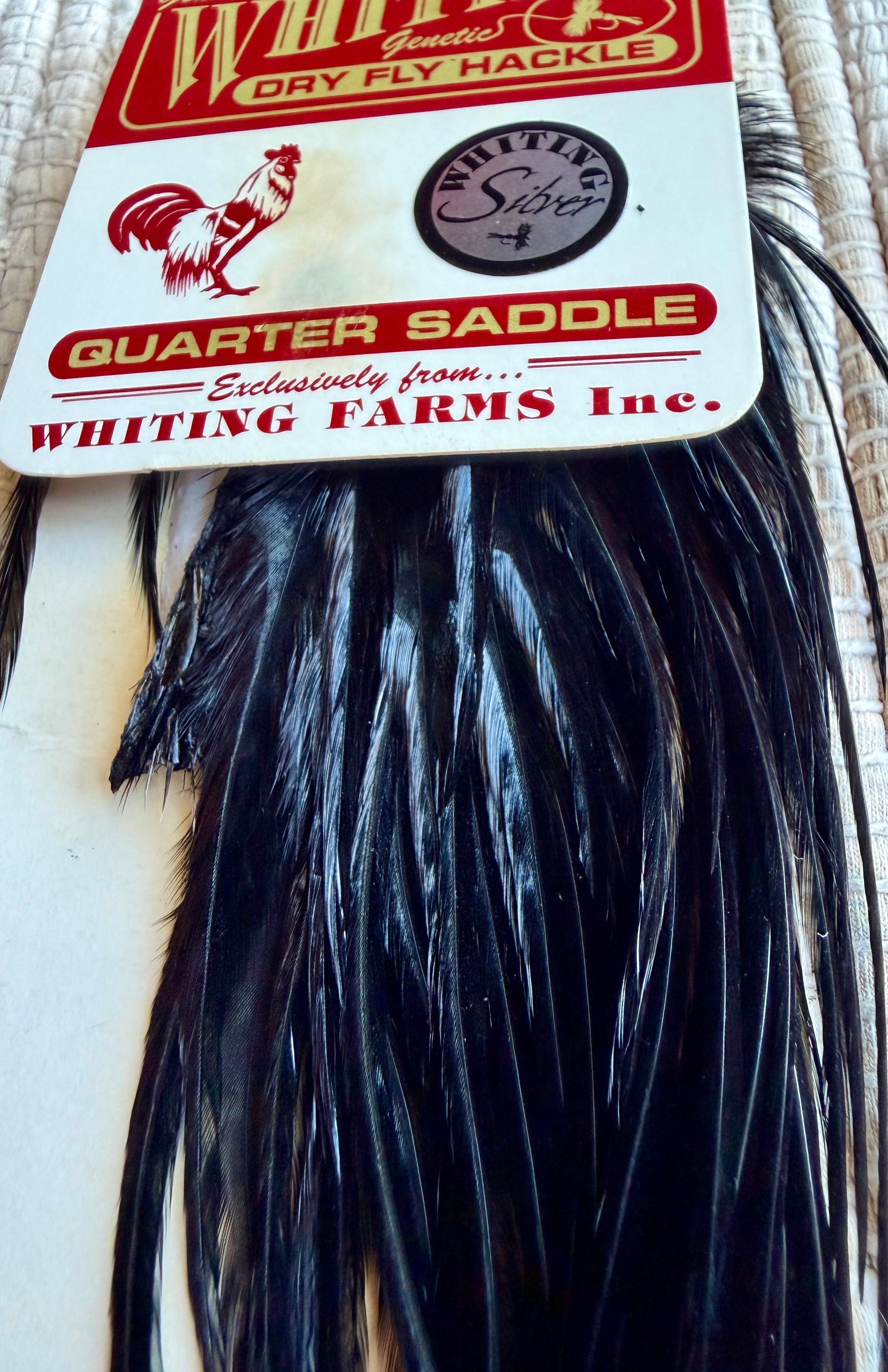 Whiting Silver  1/4 Saddle #14 & Smaller Black 820-SH-E-L