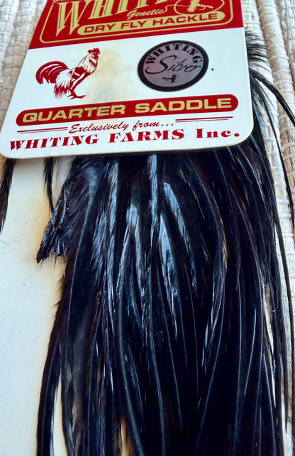 Whiting Silver  1/4 Saddle #14 & Smaller Black 820-SH-E-L