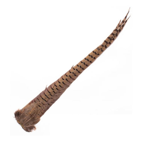 Ringneck Pheasant Tail Clumps- Natural