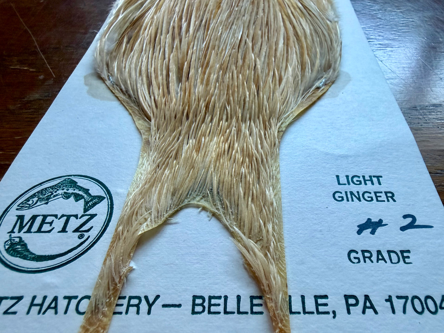 Metz Grade #2 Cape Light Ginger 519-SH-E-L
