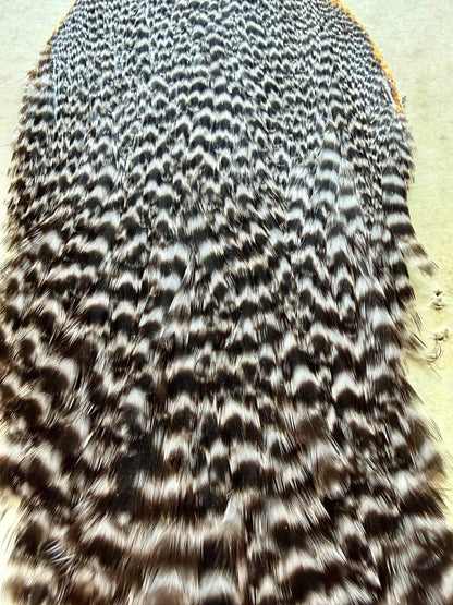 Metz Grade #1 Hen Cape Grizzly 528-SH-E-L