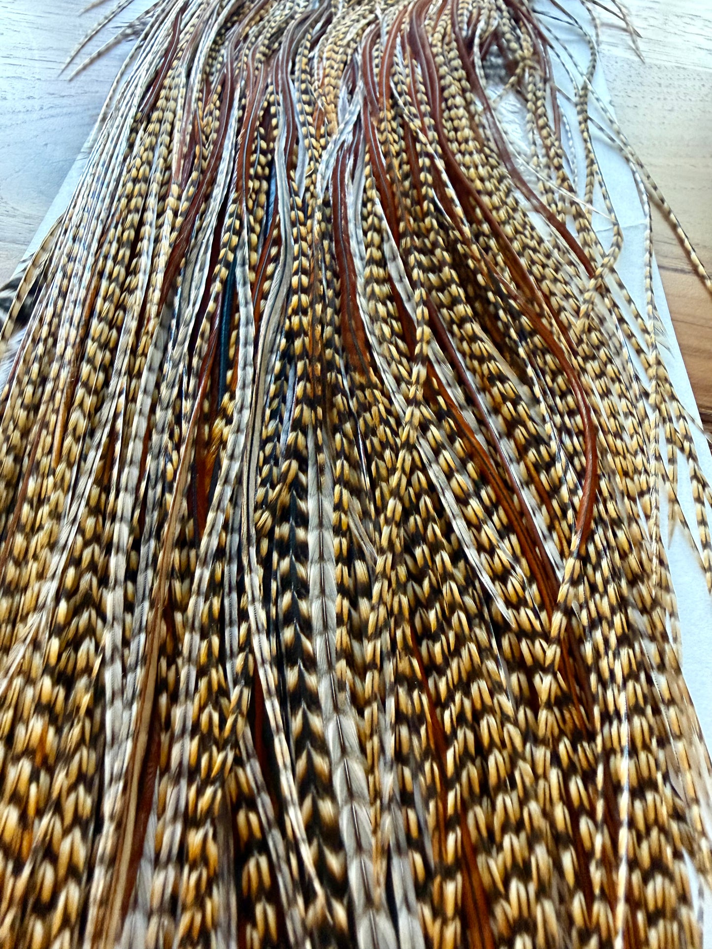 Whiting Hebert Bronze Saddle Cree 273-SH-E-L