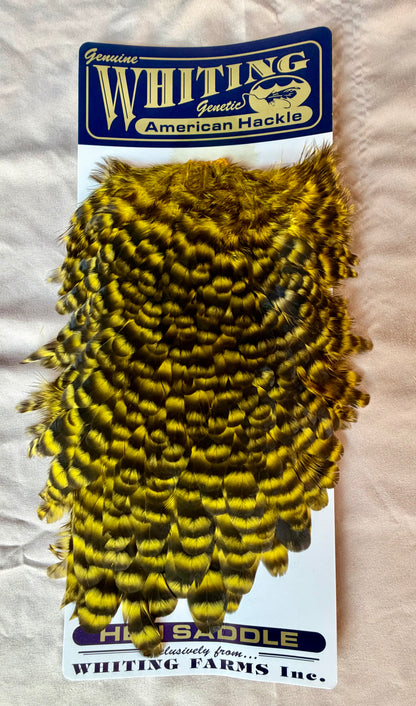 Whiting Farms American Hen Saddle Grizzly dyed Yellow 180-SH-E-L