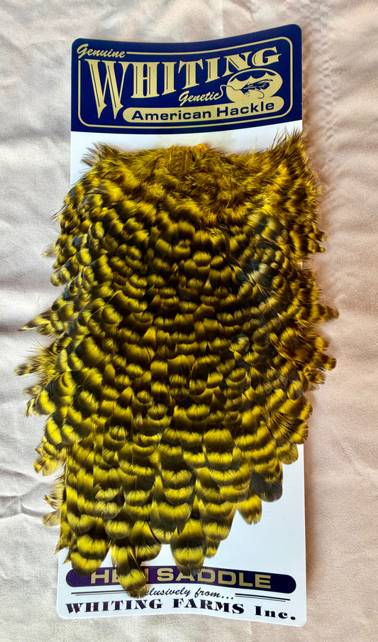 Whiting Farms American Hen Saddle Grizzly dyed Yellow 180-SH-E-L