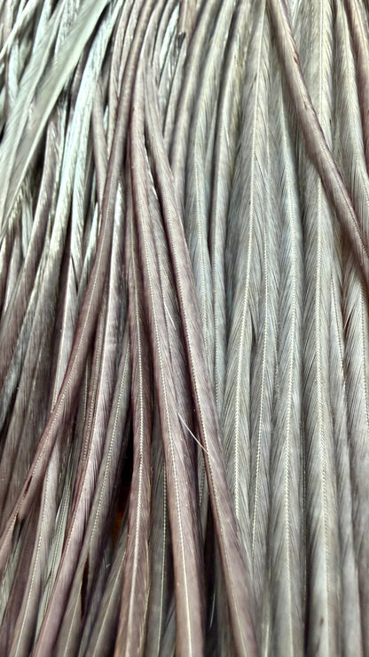 Whiting Half Cape Dark Dyed Dun 565-SH-E-L