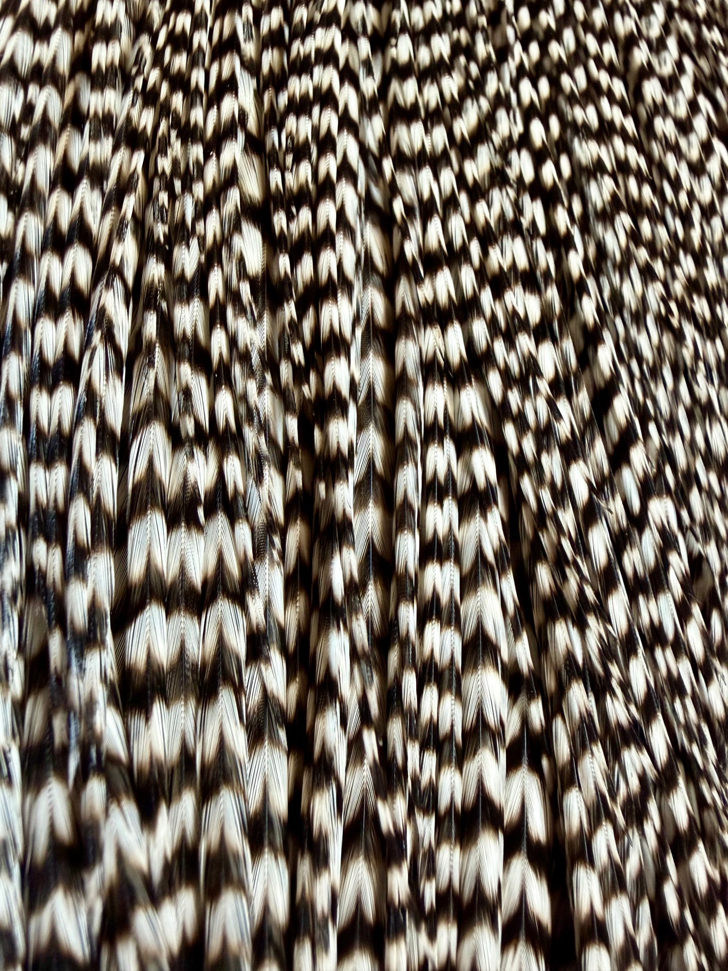 Whiting Farms Bronze Grade Cape Grizzly 641-SH-E-L