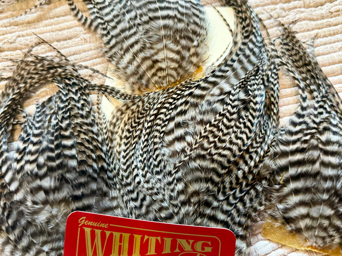 Whiting Farms Bugger Pack Grizzly 720-SH-E-L