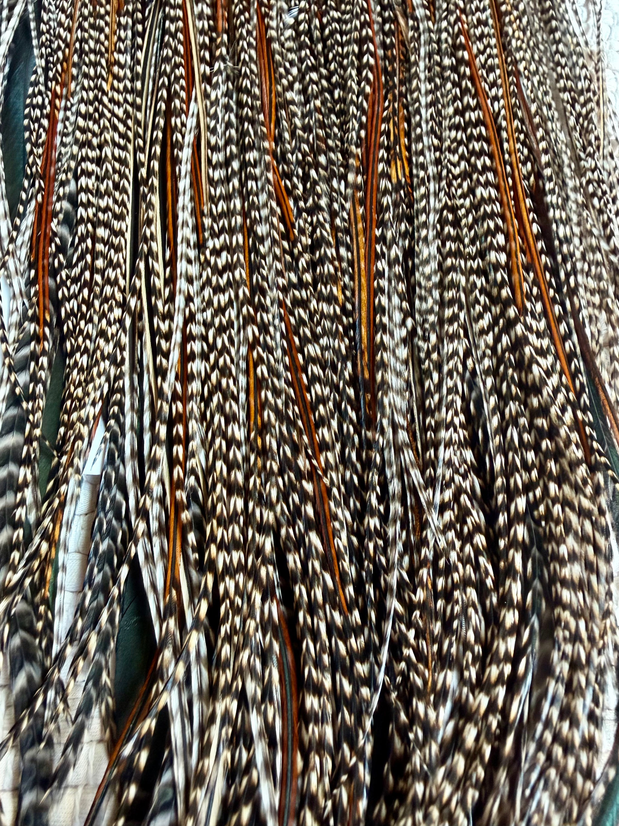 Whiting Farms Gold Midge Rooster Saddle CREE 807-SH-E-L
