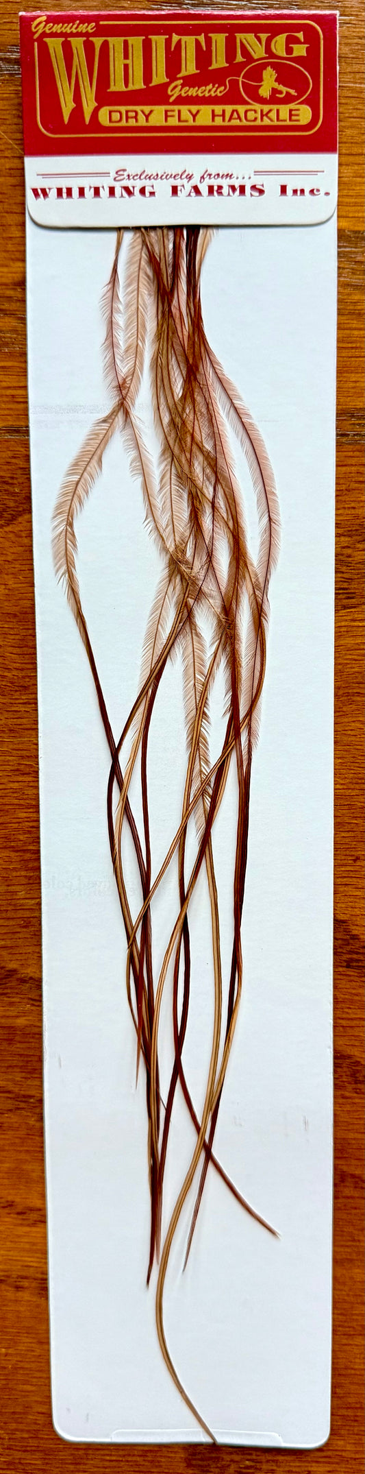Whiting 100 Fly Pack Size 20 Brown 382-SH-E-L