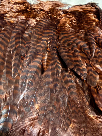 Whiting Farms Soft Hackle Brahma Hen Chickabou Pelt Grizzly dyed Coachman Brown 208-SH-E-L