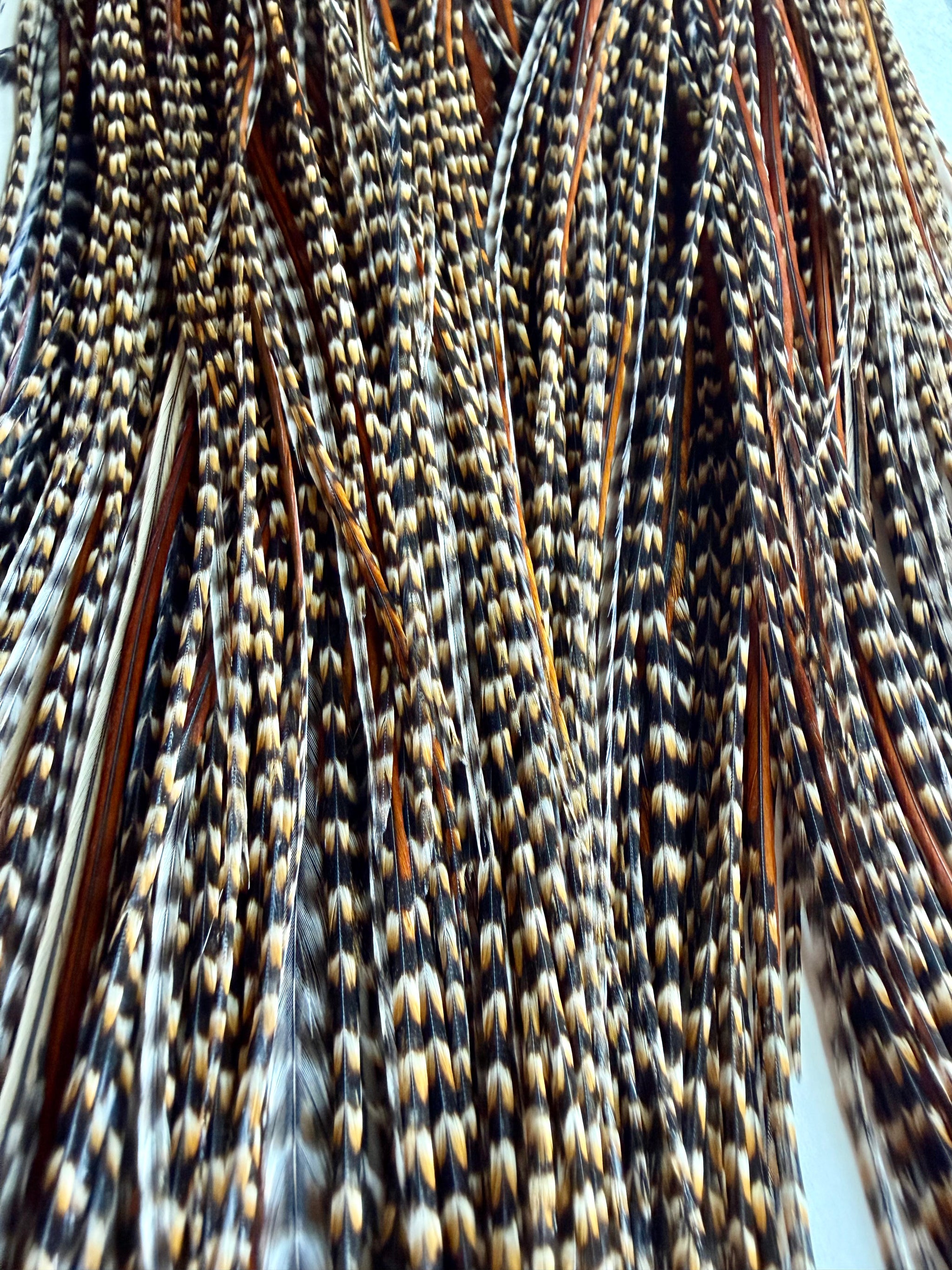Whiting Bronze Rooster Saddle CREE 800-SH-E-L