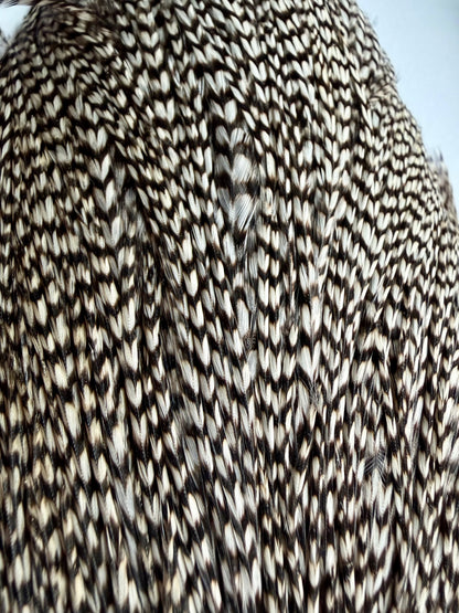 Collin’s Grade 1 Hackle Grizzly Cape And Hackle Set 739-SH-E-L