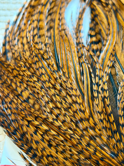 Whiting Bugger Pack Grizzly Dyed Brown 716-SH-E-L
