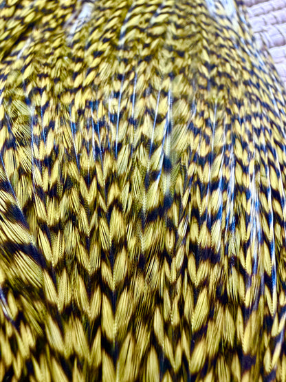 Whiting Bugger Pack Grizzly Dyed Olive 728-SH-E-L