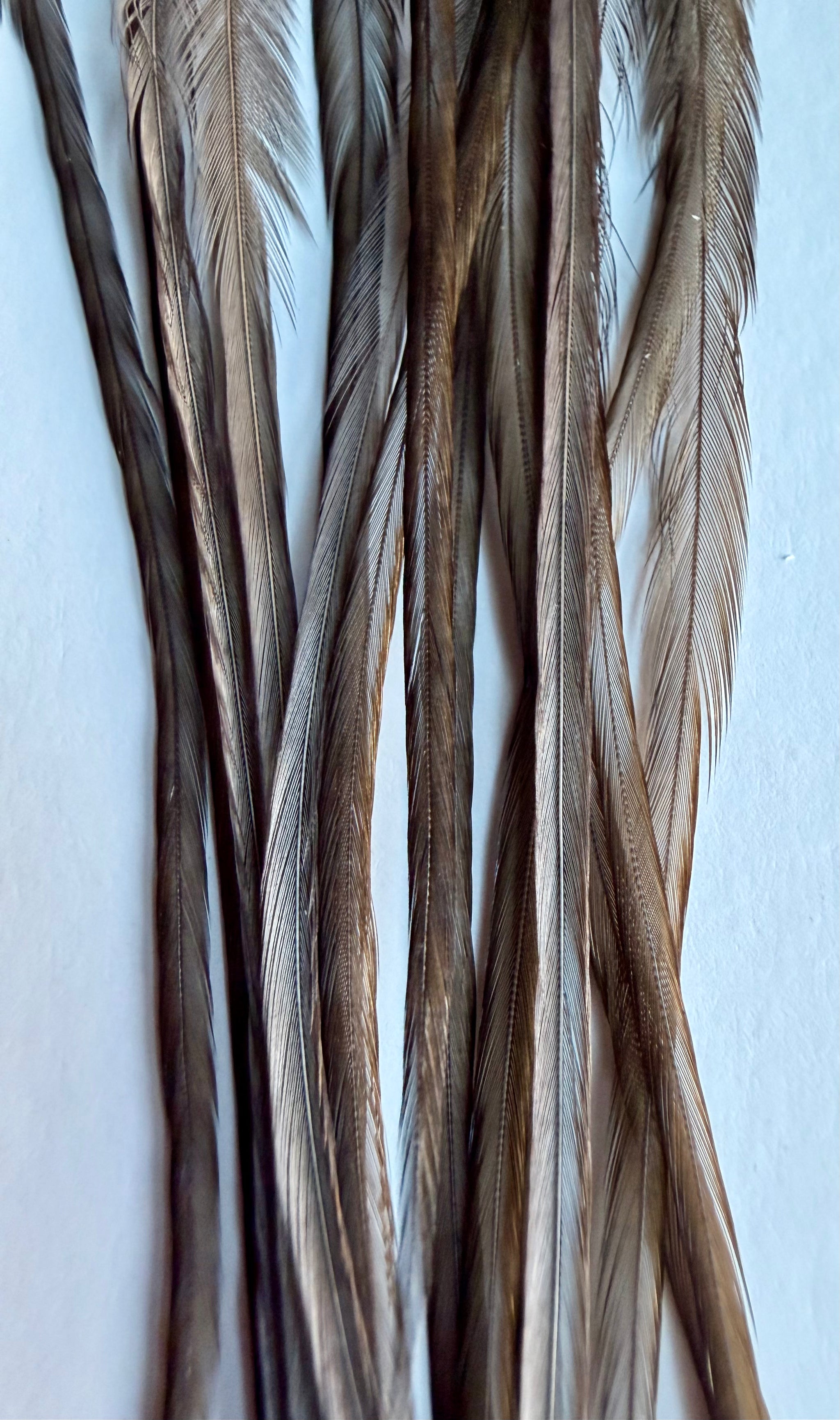 Whiting Dry Fly Hackle 100’s Size 14 Dark Dun 824-SH-E-L