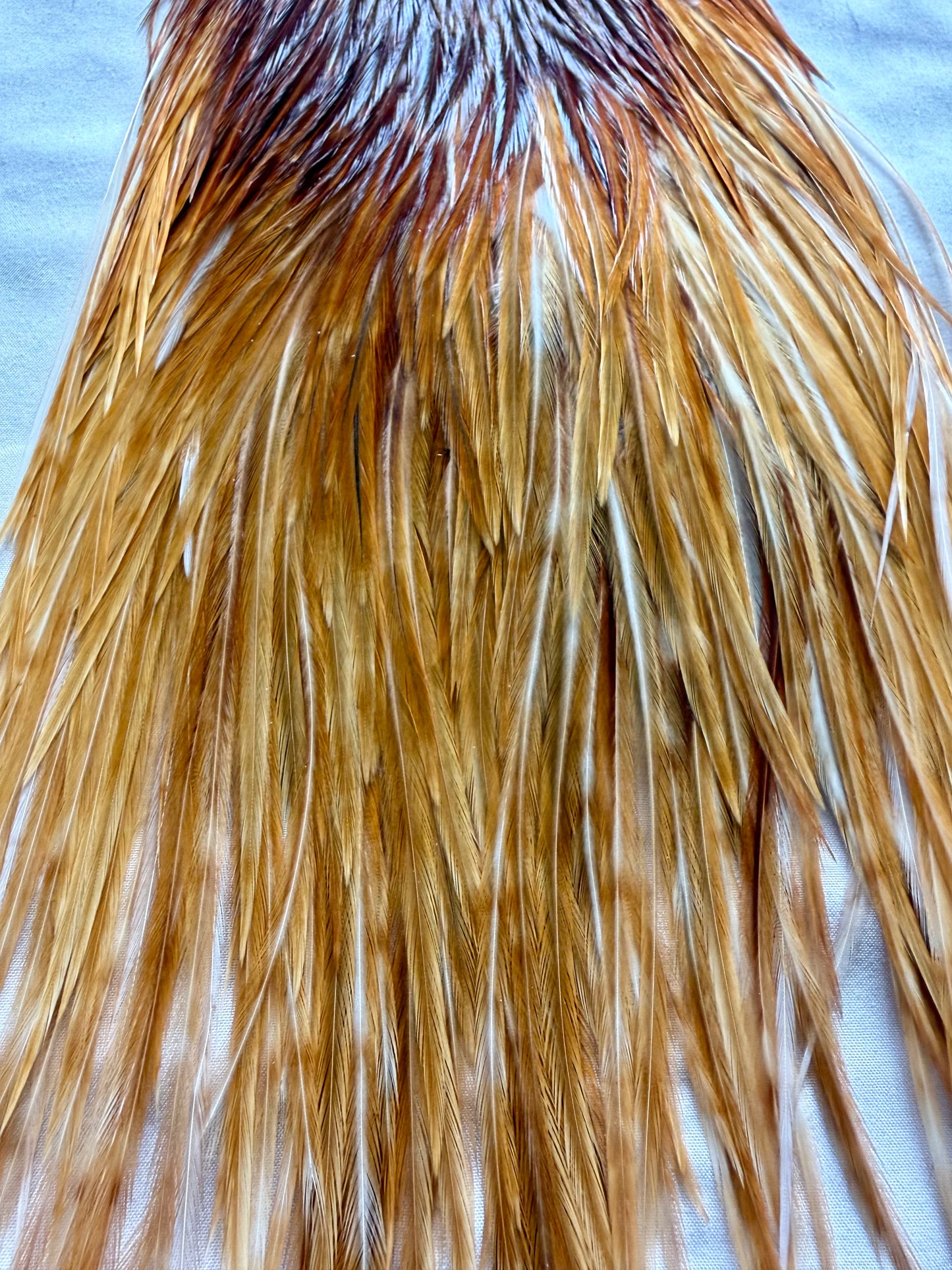 Metz #2 Saddle, Ginger 439-SH-E-L