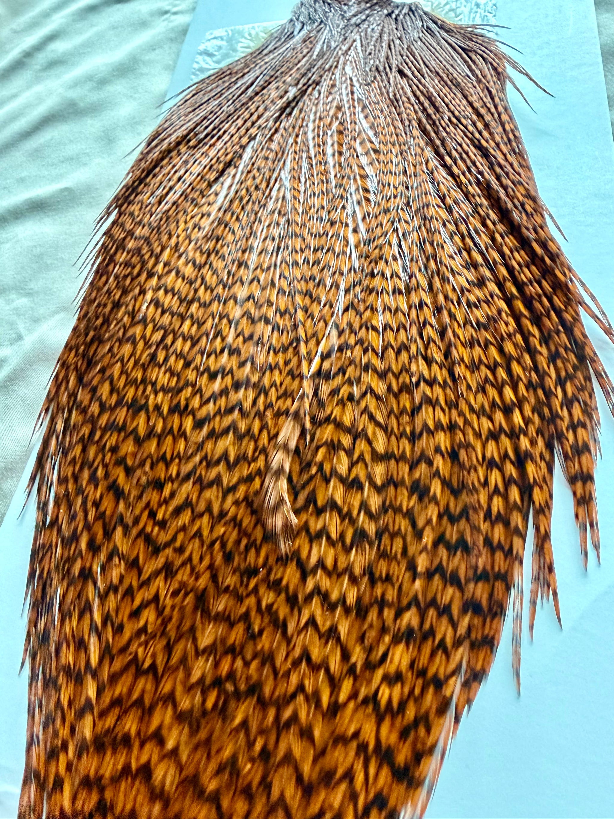 Whiting High and Dry Hackle Cape Grizzly Dyed Brown 291-SH-E-L