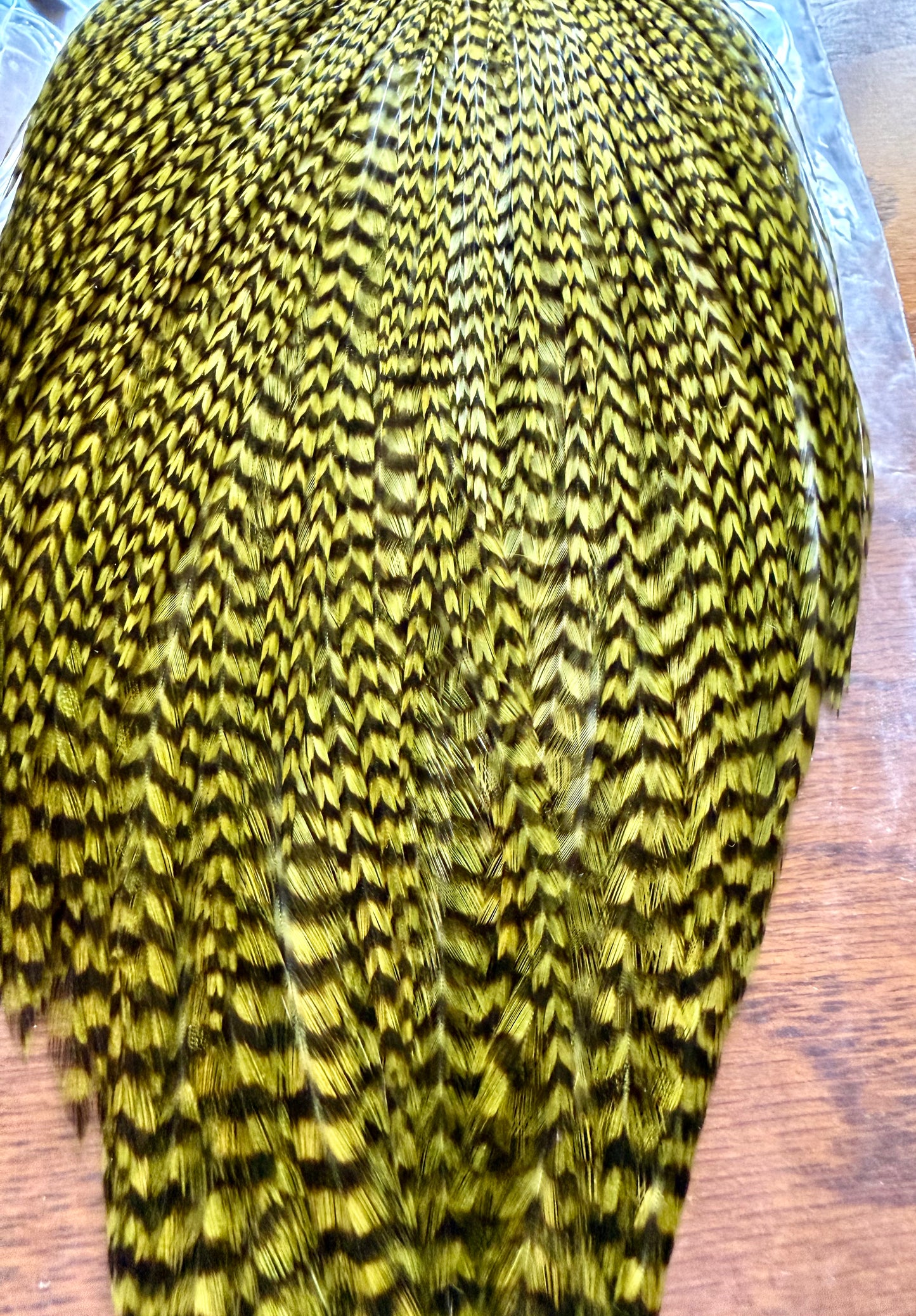 Keough Tyer’s Grade Cape, Grizzly Olive 516-SH-E-L