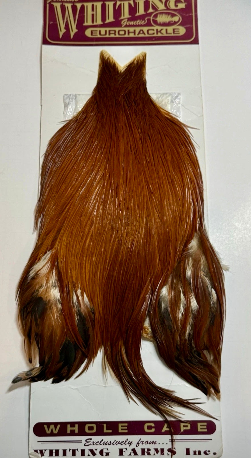 Whiting Eurohackle Cape: White Dyed Brown- Rare Find  SH-E-201