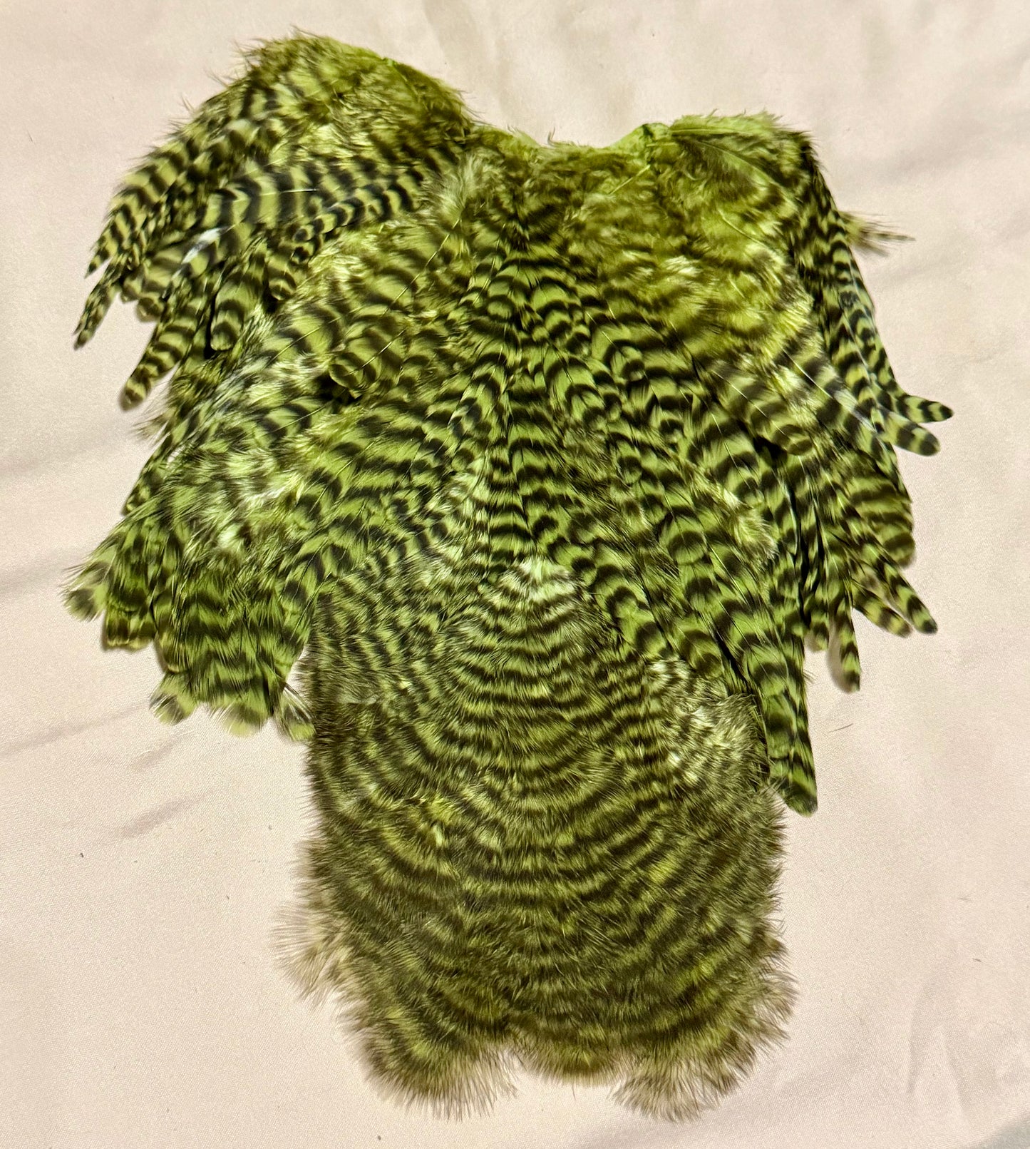 Whiting Farms Soft Hackle Brahma Hen Chickabou Pelt Grizzly dyed Olive 217-SH-E-L