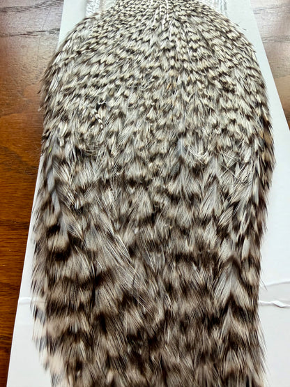 Whiting American Hackle Whole Cape: Grizzly 373-SH-E-L