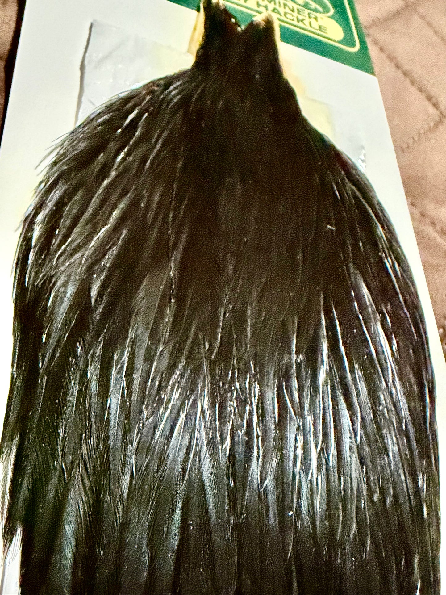 Whiting Hebert Miner Retail Hen Cape Black 280-SH-E-L