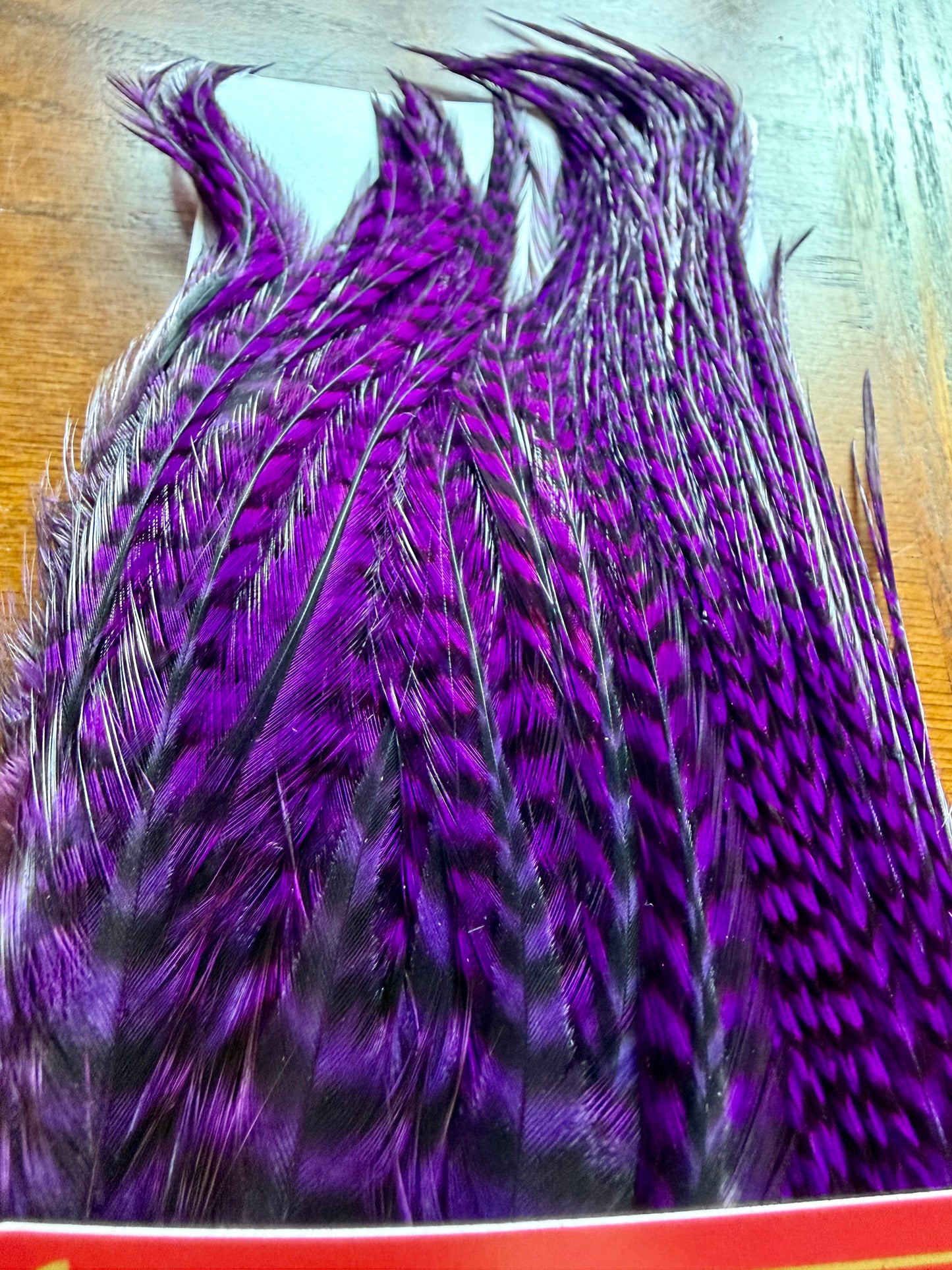 Whiting Farms Bugger Pack Purple 319-SH-E-L