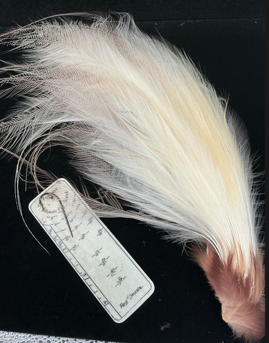 BIRD OF PARADISE TAIL FEATHERS-RARE (US ONLY)