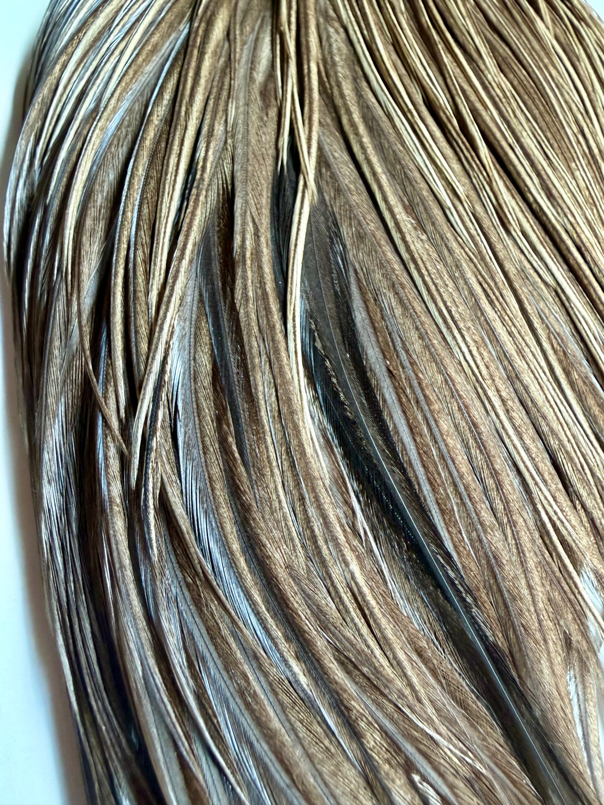Whiting Farms Cape Unique Variant 691-SH-E-L