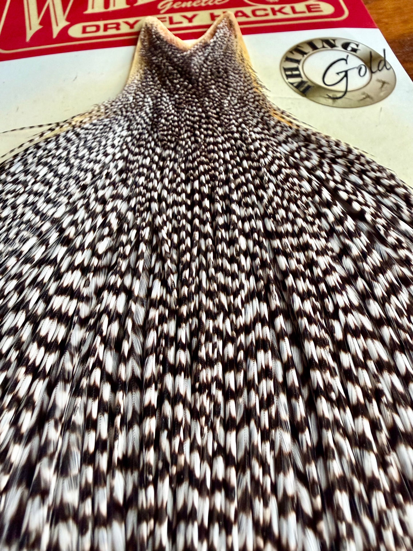 Whiting Gold Grade Rooster Cape Grizzly 617-SH-E-L