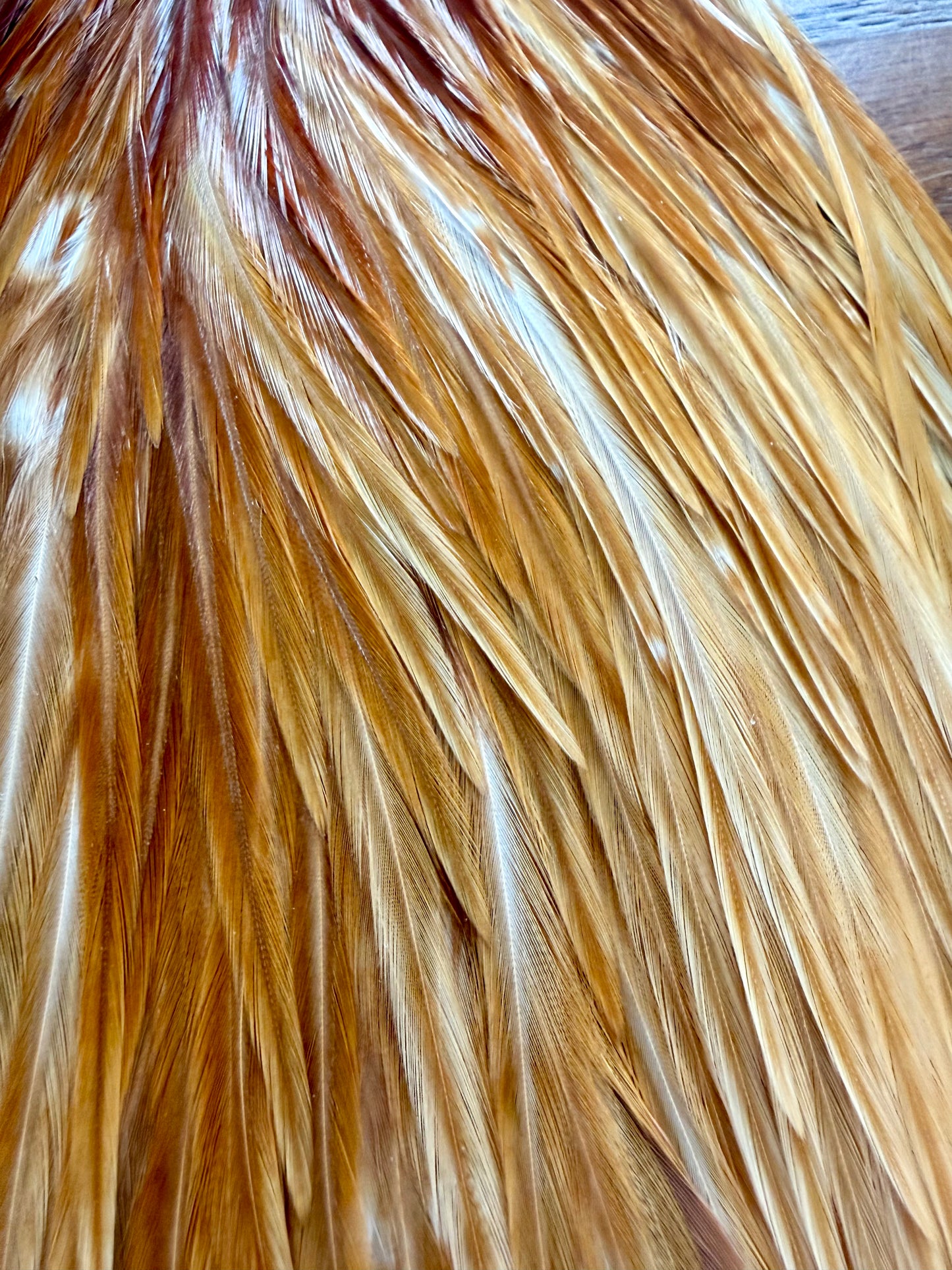 Metz #2 Saddle, Light Ginger 441-SH-E-L