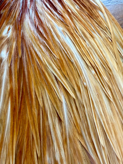 Metz #2 Saddle, Light Ginger 441-SH-E-L