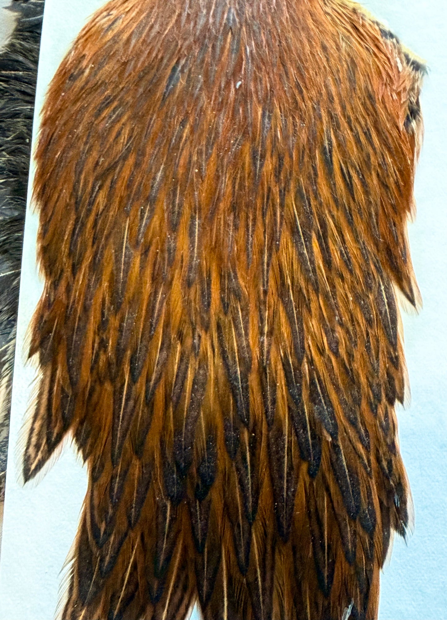 Weidner Hackles Hen Cape & Hen Saddle Set, 483-SH-E-L