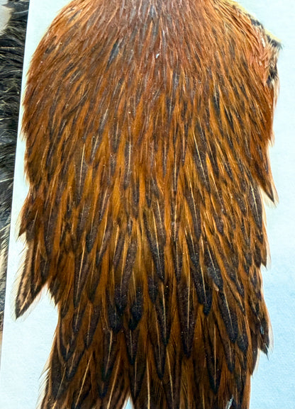 Weidner Hackles Hen Cape & Hen Saddle Set, 483-SH-E-L