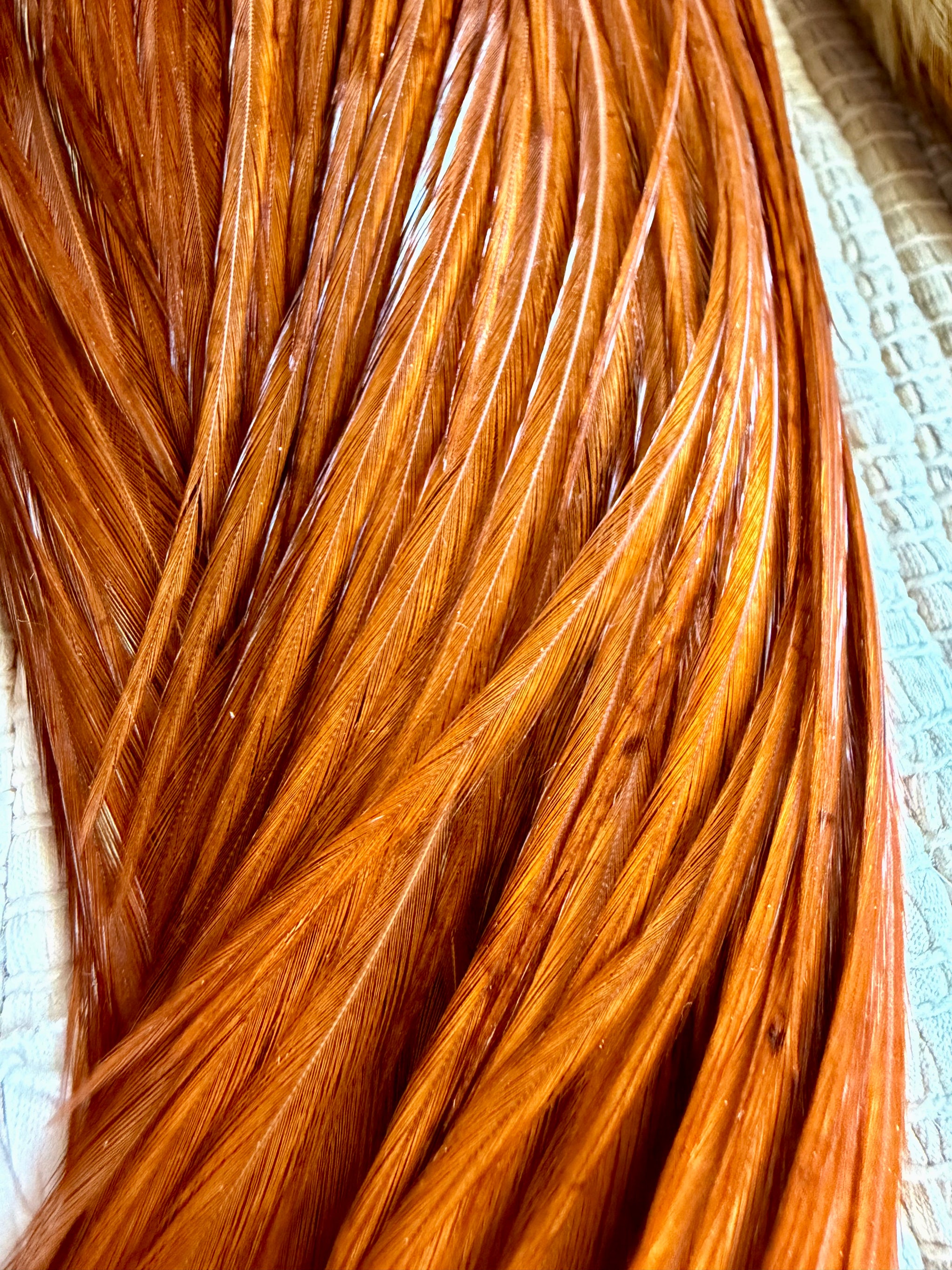 Half Cape Brown, Cape Light Ginger (set of 2) 854-SH-E-L