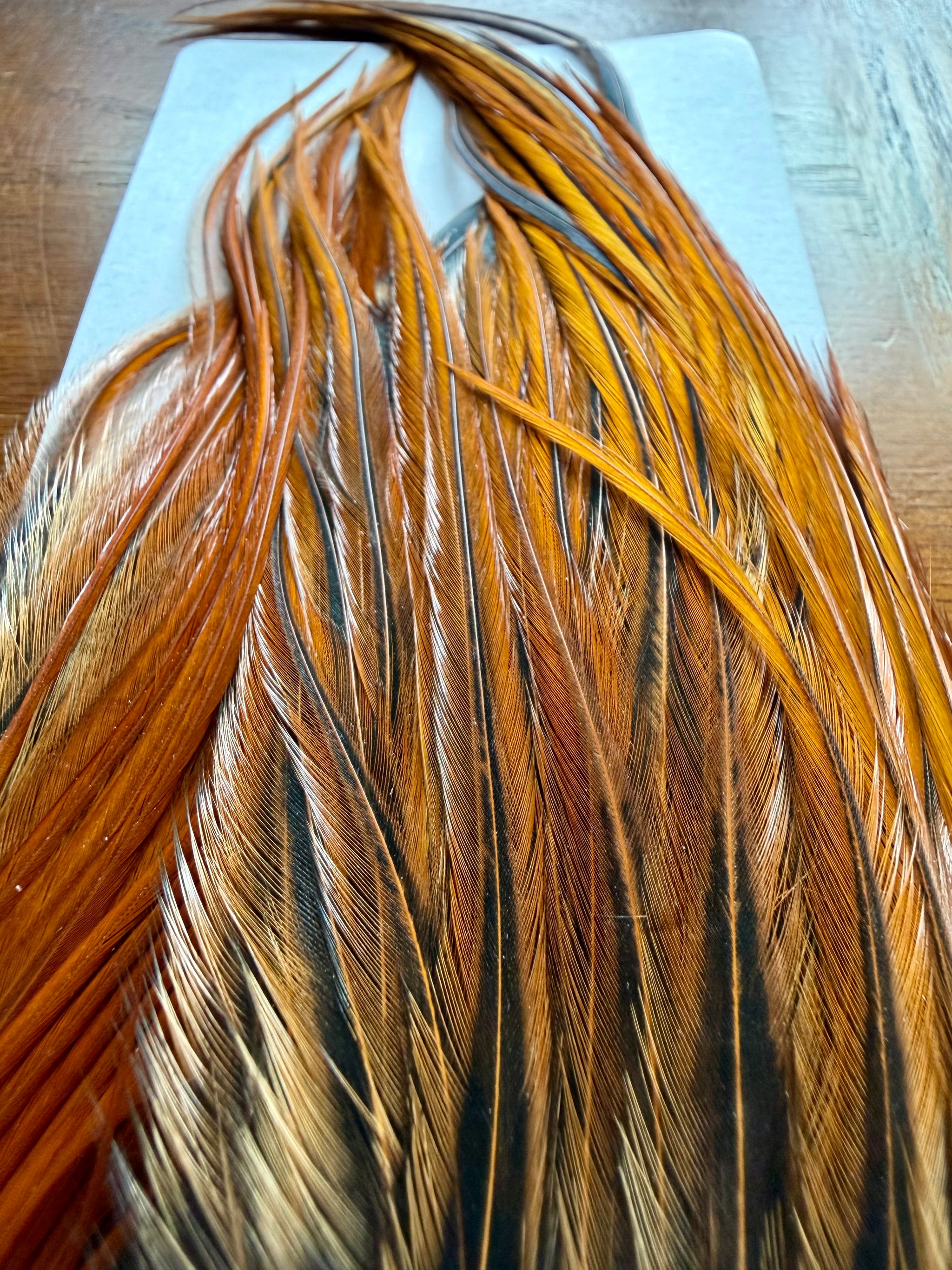 Whiting Farms Bugger Pack Brown 315-SH-E-L