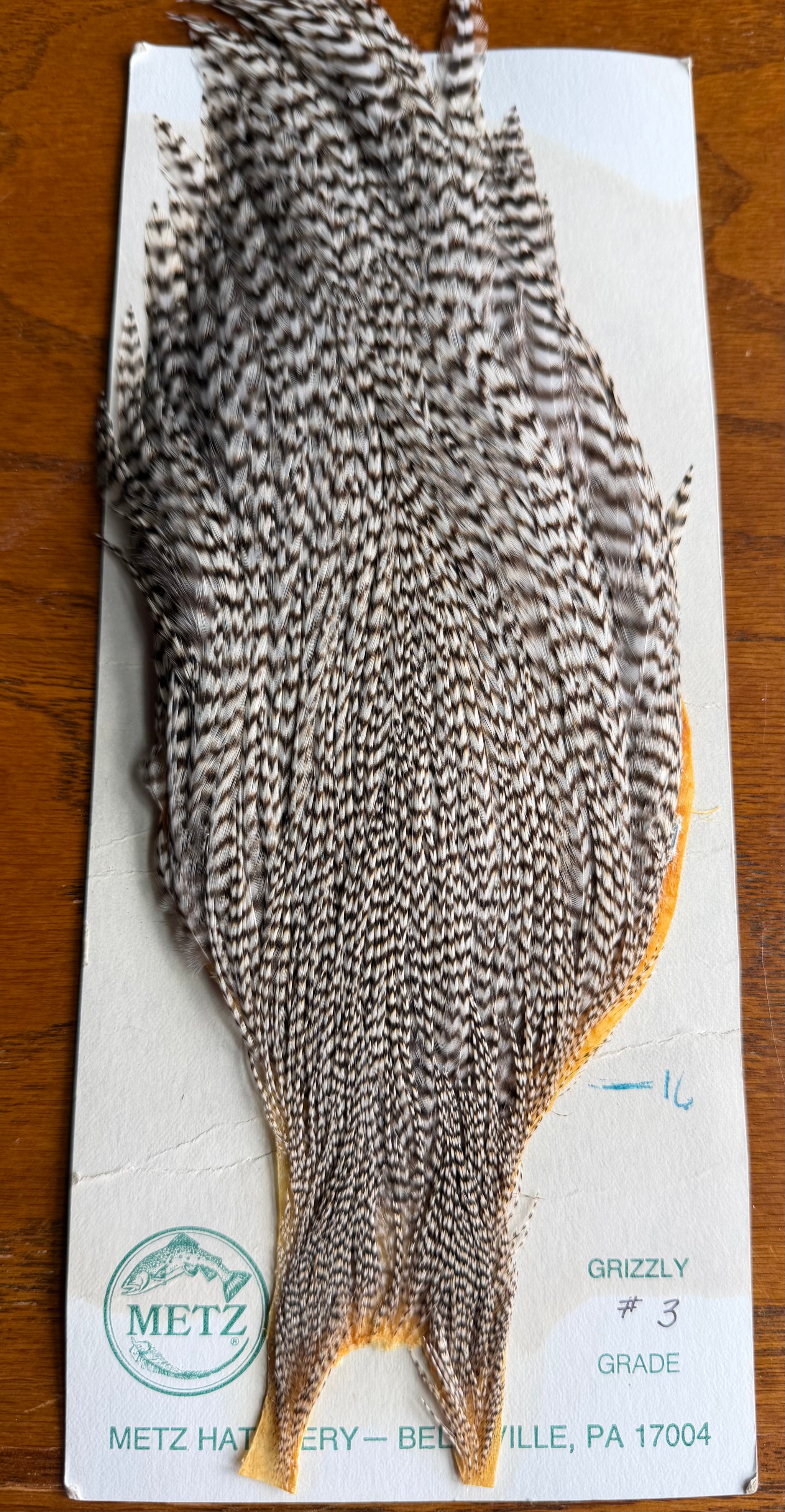 Metz Grade 3 Cape Grizzly 609-SH-E-L