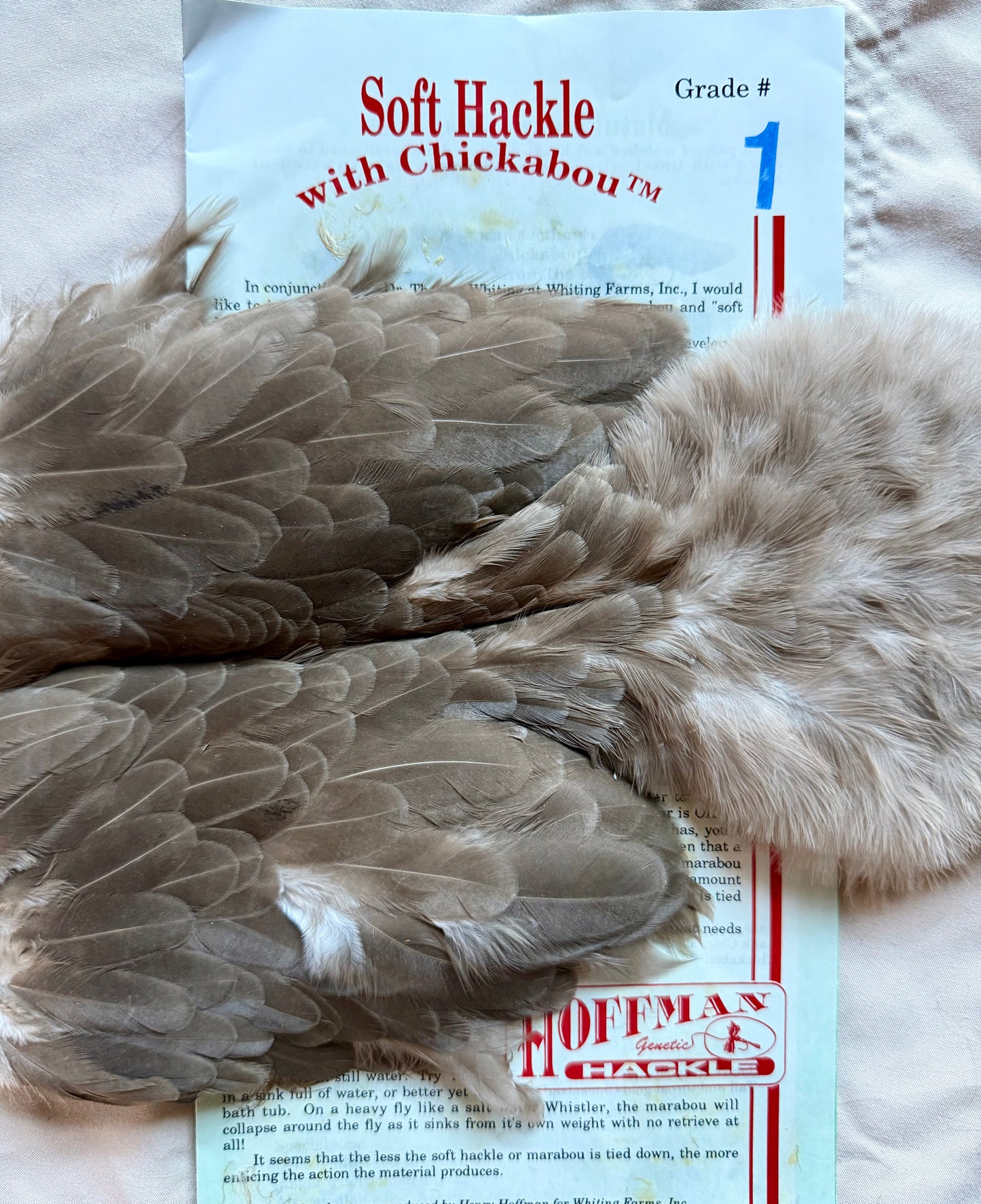 Whiting Brahma Hen SH/Chickabou #1 Natural Dun 523-SH-E-L