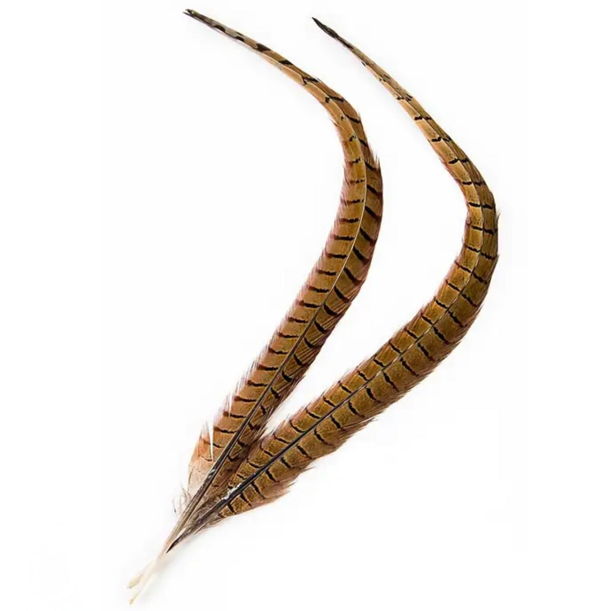 Veniard Centre Pheasant Tail Pair