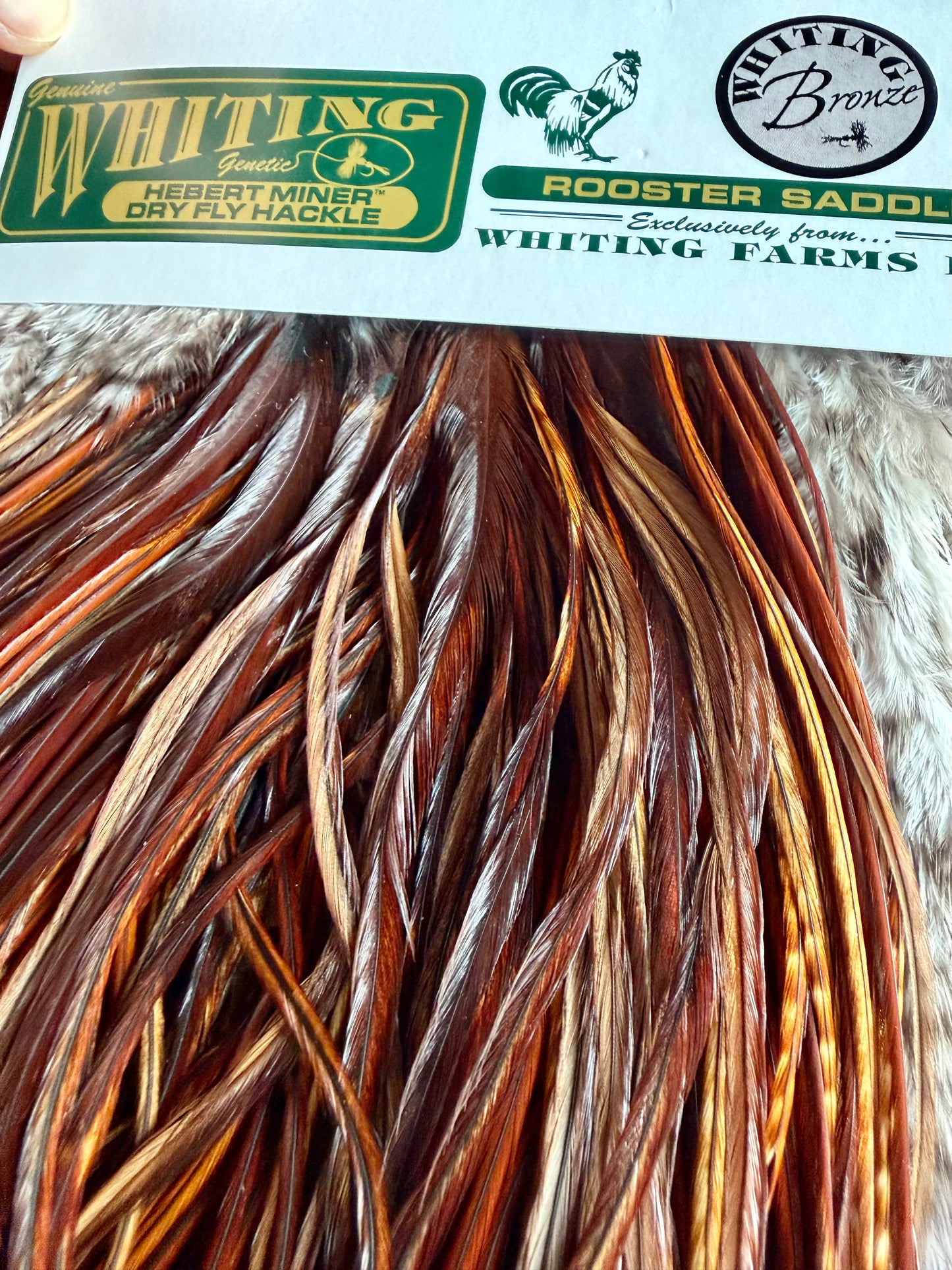 Whiting Farms Hebert Miner Bronze Grade Saddle Barred Dark Ginger 654-SH-E-L